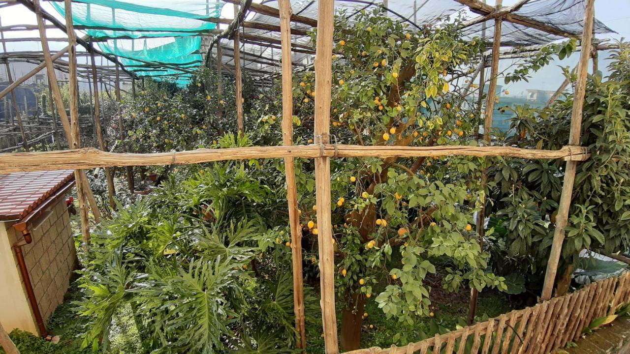 Casa de Férias Mamma Lucia *